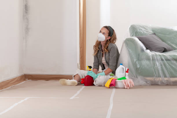 Reliable Mold Remediation contractor in Mechanicsville, VA by Mold Remediation HQ